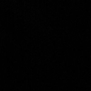 Meet your Posher, Kira